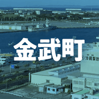 国頭郡金武町で借りれる不動産担保ローン