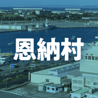 国頭郡恩納村で借りれる不動産担保ローン